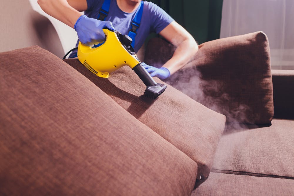 Dry cleaner's employee removing dirt from furniture in flat, closeup.