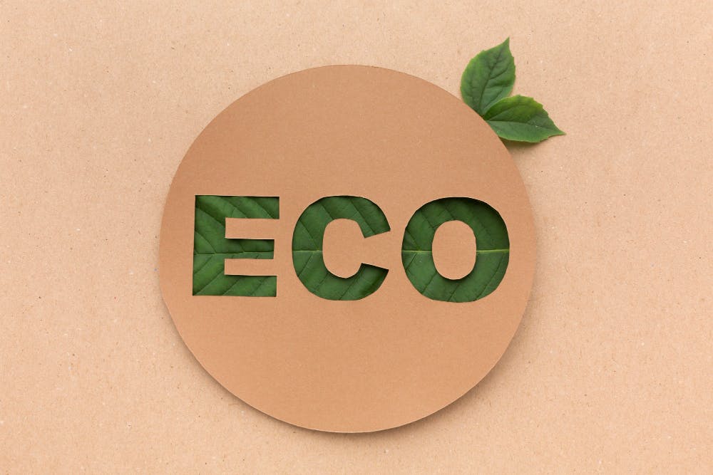 Eco sign with leaves