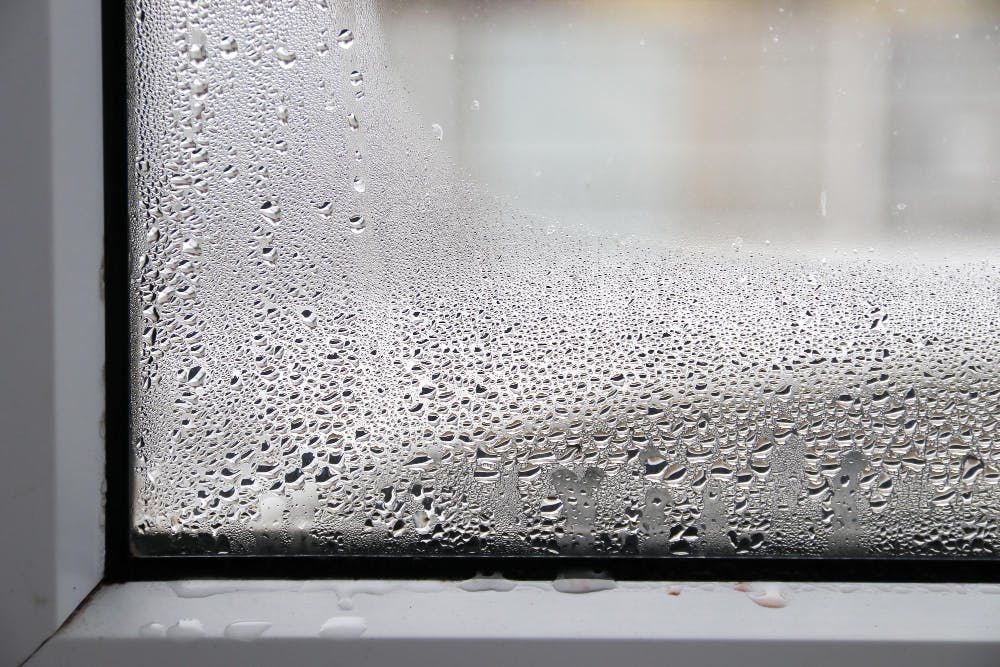 failed-window-glazing-with-condensation-inside-selective-focus-water-condensation-window