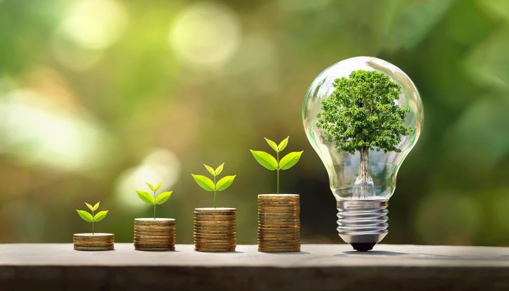 tree-growing-coins-light-bulb-concept-saving-money-with-energy