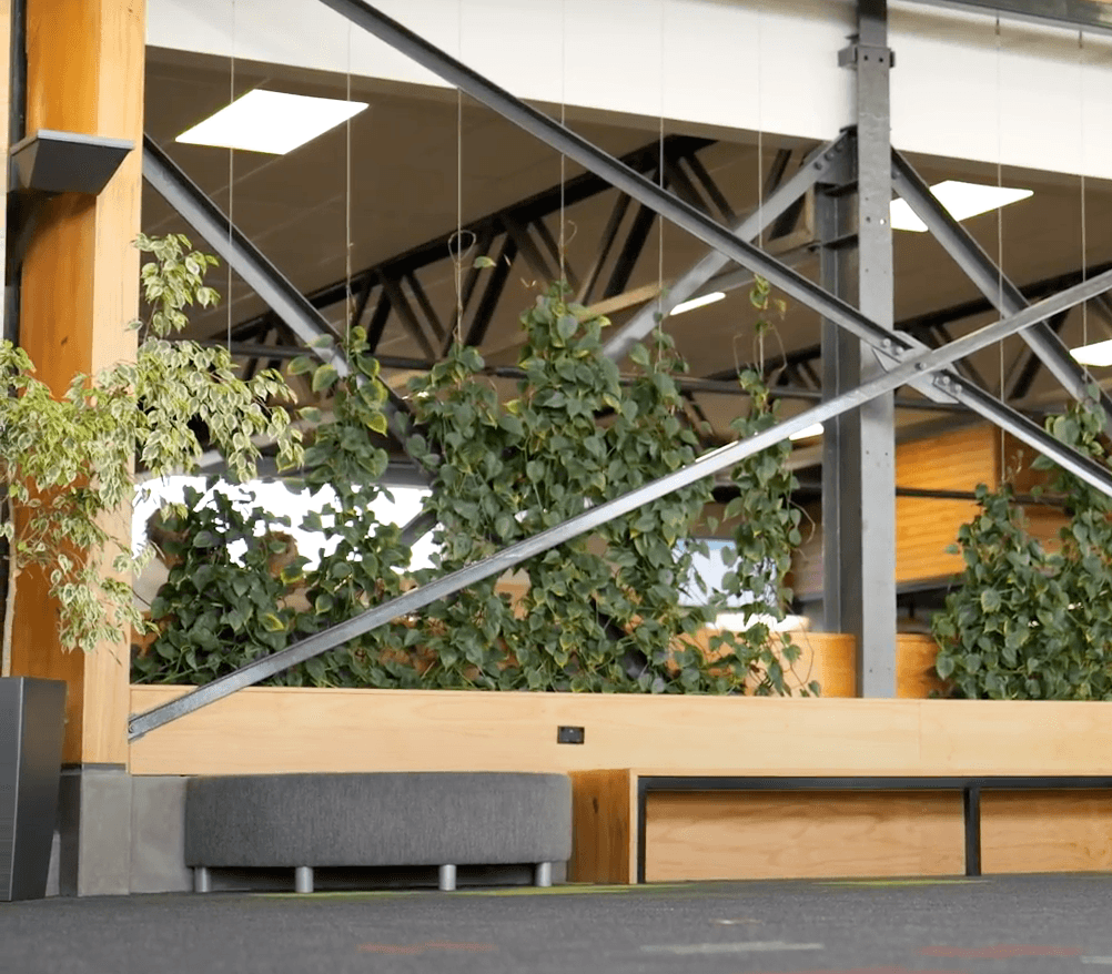 Tauranga Airport